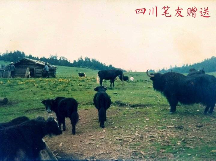 齐鲁晚报网-山东新闻门户 传播品质资讯